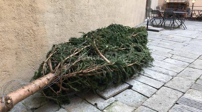 Bordighera, albero di Natale abbandonato in piazza del Popolo ... - Riviera24.it