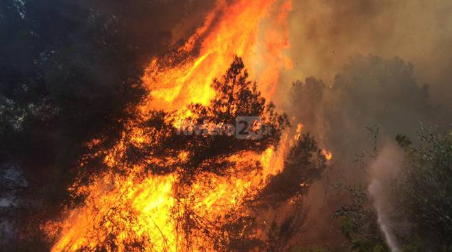 Antincendio boschivo, in Liguria parte la formazione specialistica in operatori di bonifica per volontari Aib e vigili del fuoco