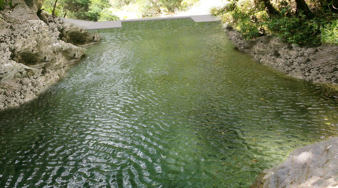 “Protesta dei pesci di fiume” a Pigna, i motivi degli Amici del Rio Carne