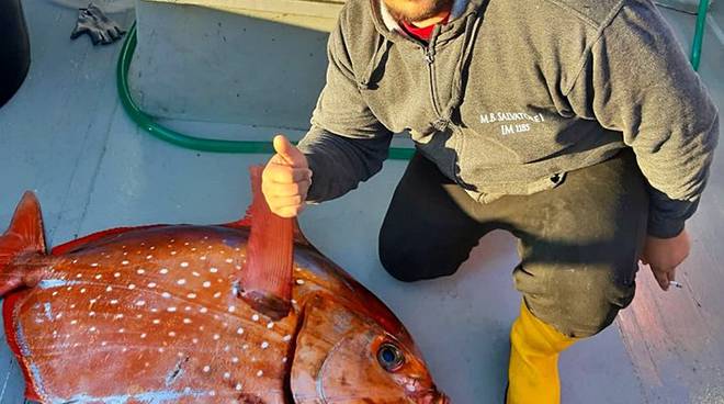 Pesca record a largo di Oneglia, preso raro pesce re da 48 kg