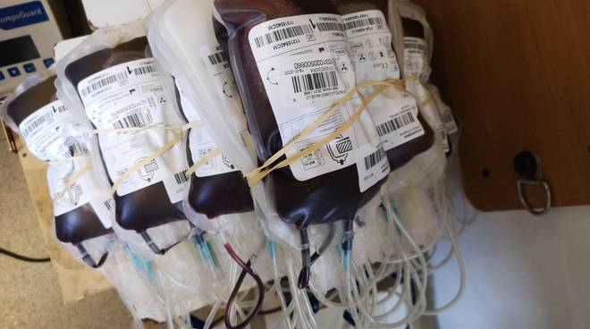 Giornata della Donazione a Taggia, Avis Imperia: «Raccolte 12 sacche di sangue»