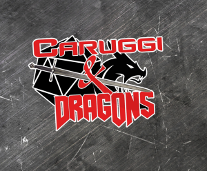 Logo Caruggi stampa