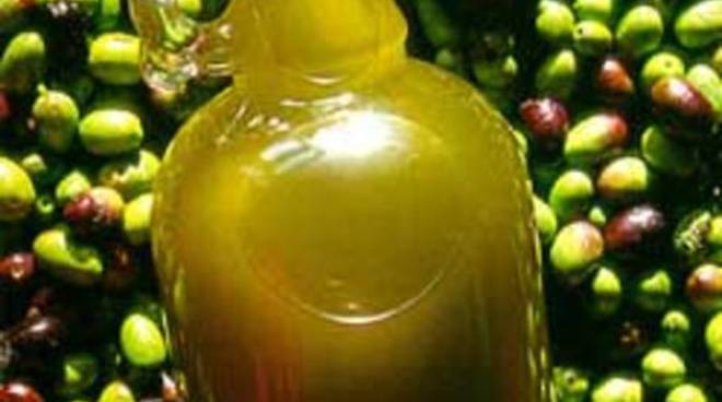 Taggia, la VI° edizione del Concorso Olive Taggiasche in Salamoia