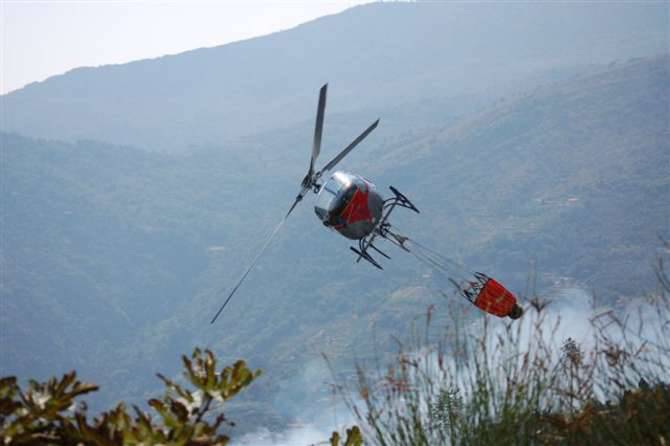 incendio bosco trucco