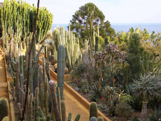 giardino esotico pallanca