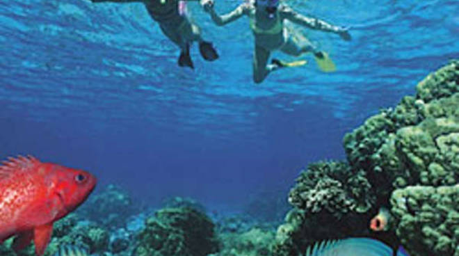 Cervo, una giornata sportiva di snorkeling in ricordo dei “Corallini”