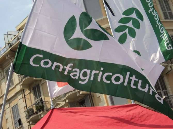 confagricoltura bandiera