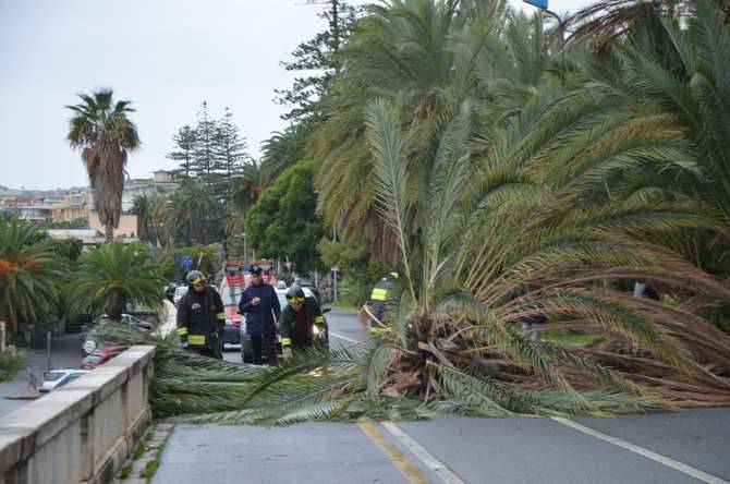 I Vigili del Fuoco in azione sul Lungomare Salvo D'Acquisto