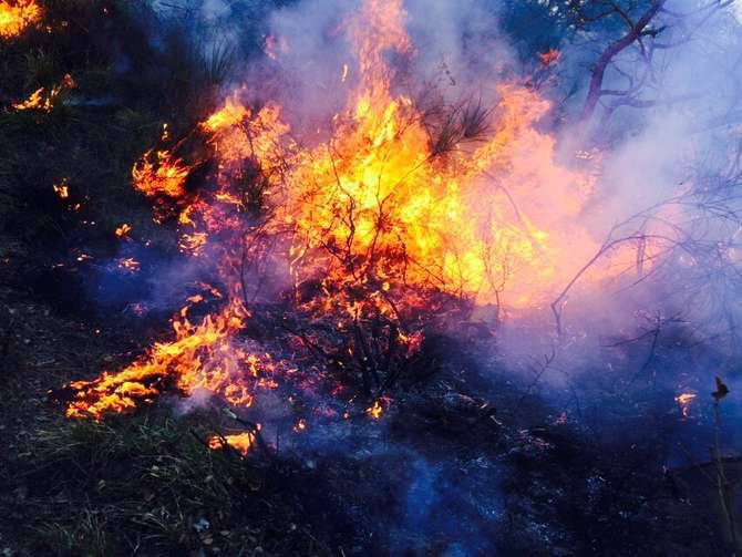 Incendio boschivo andora cervo generica marzo 2015