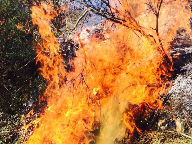 Incendio boschivo andora cervo generica marzo 2015