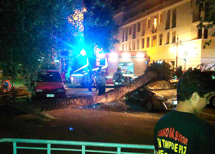 palma caduta bordighera notturna 115 polizia locale