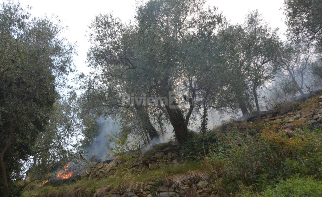 incendio boschivo tasciaire sanremo forestale elicottero 115