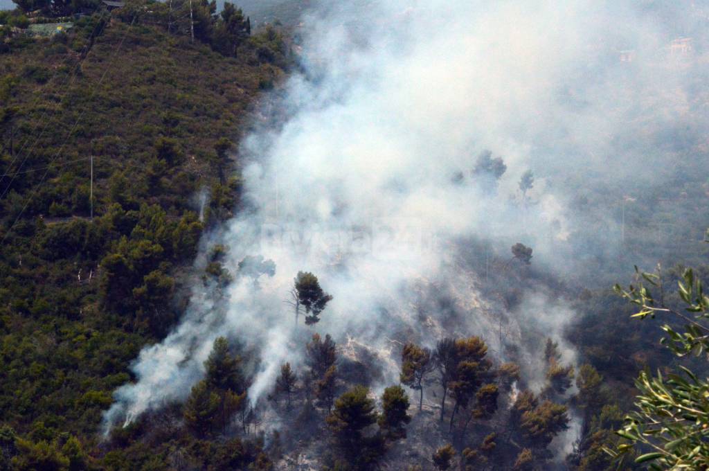 incendio boschivo tasciaire sanremo forestale elicottero 115