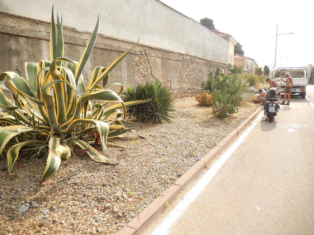 manutenzione verde pista ciclabile 