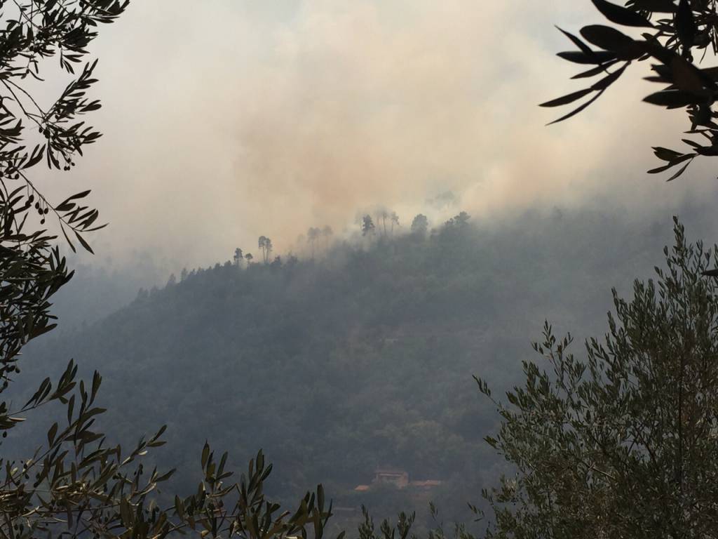 Vasto incendio in zona cave San Giorgio a Badalucco