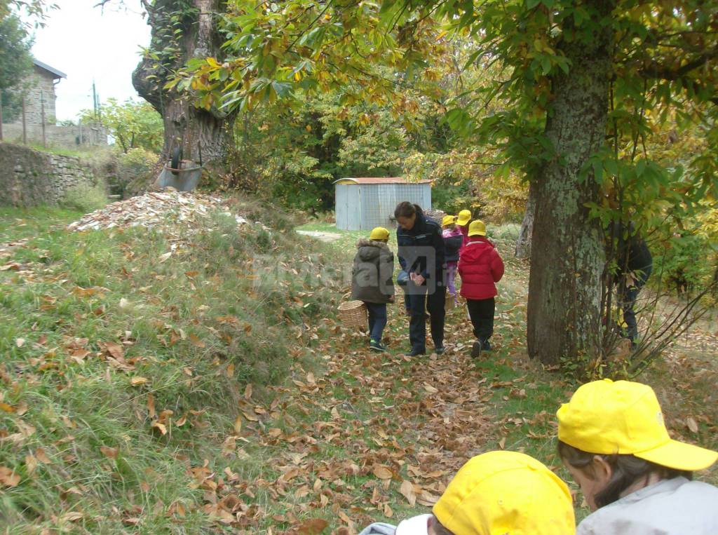 castagnata scuola infanzia badalucco