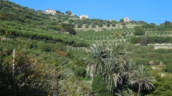 Bordighera, si alza il sipario sulla marcia non competitiva “Beodo Urban Trail”