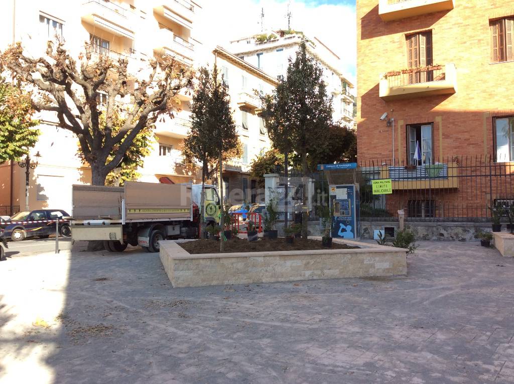 Ventimiglia, in piazza Coppo sono arrivate le tre palme piumose