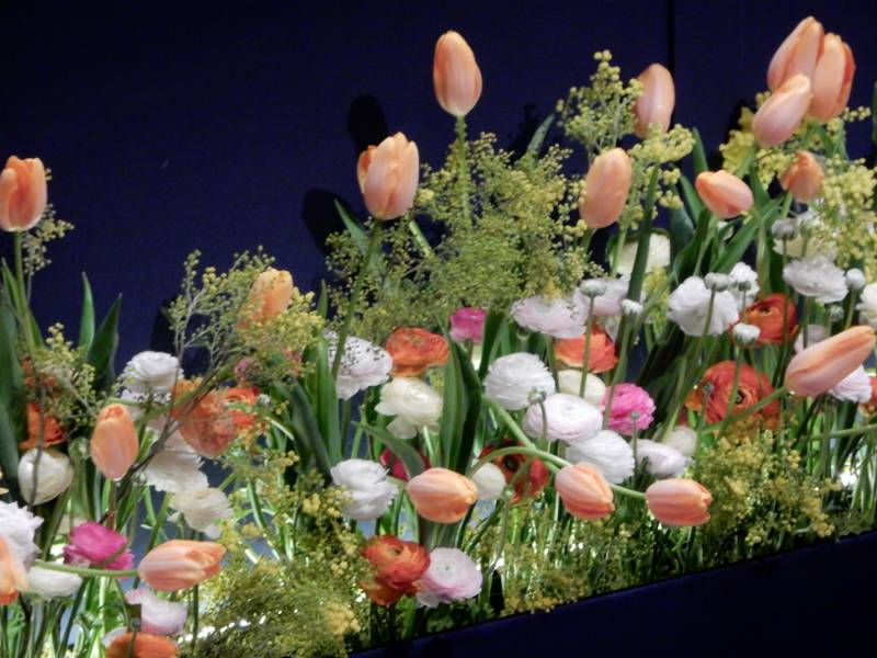 fiori di sanremo nobel week