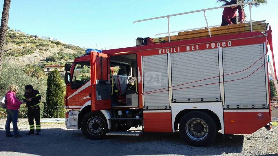 Bordighera vigili del fuoco salvano gattini