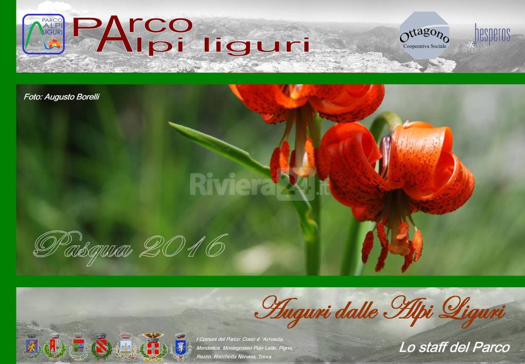 riviera24 - Pasqua nel Parco Alpi Liguri