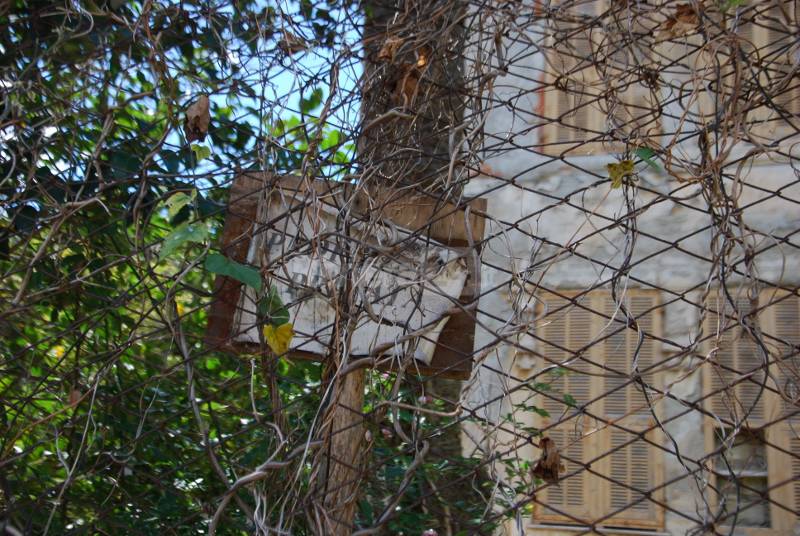 Ospedaletti, incendio doloso strada Termini