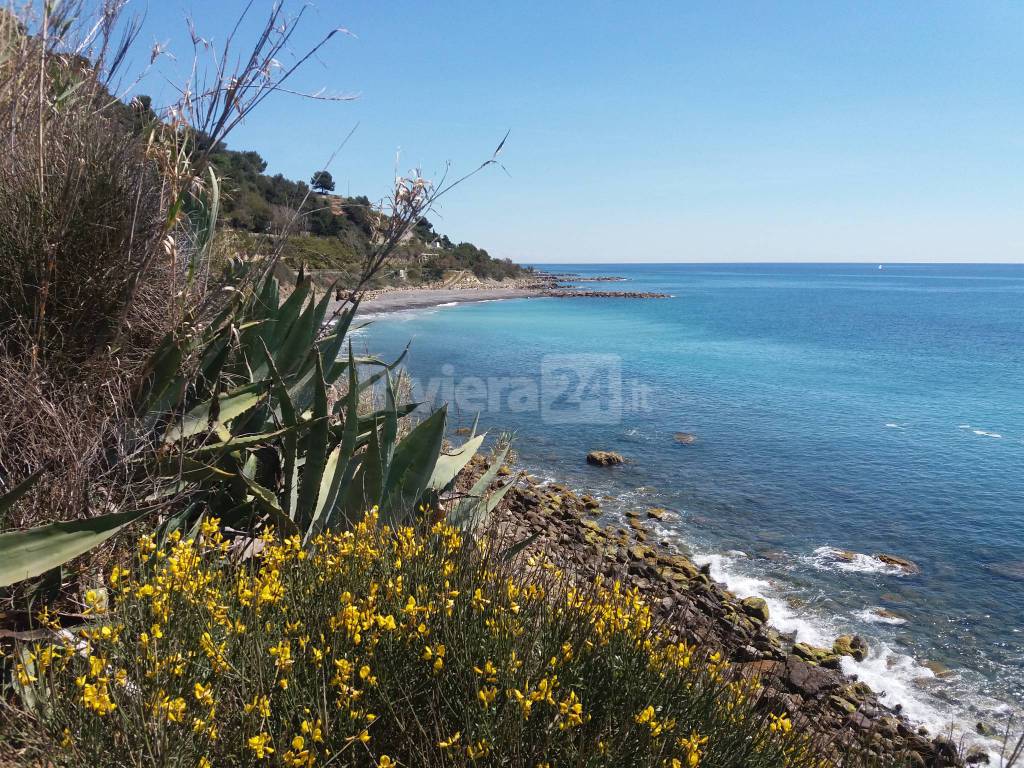 riviera24, costarainera spiaggia generica