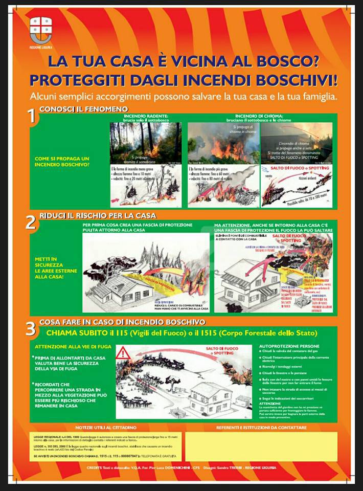 INCENDI BOSCHIVI REGOLE