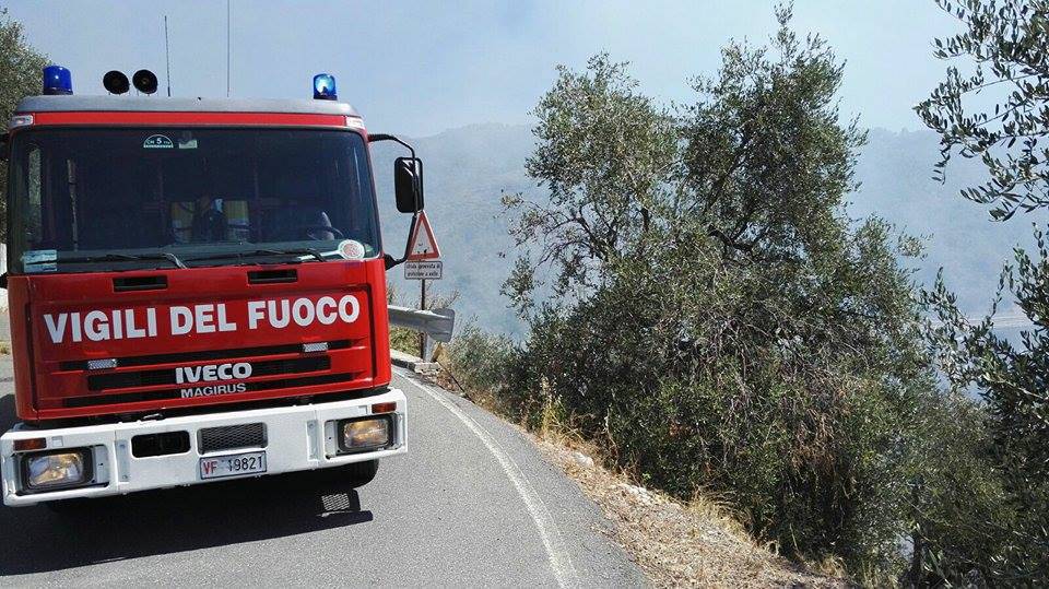 riviera 24 - vigili del fuoco incendio boschivo uliveto terzorio sterpaglie