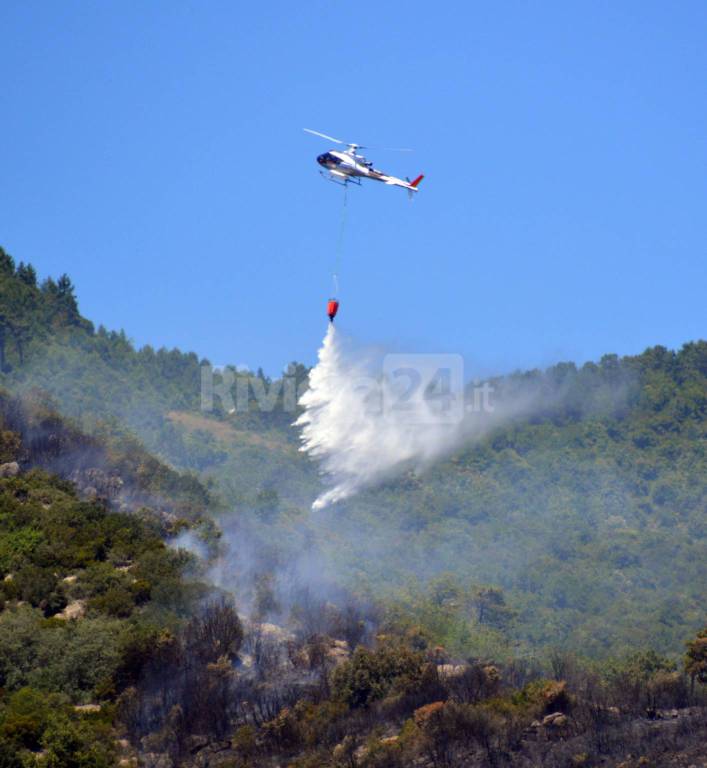 riviera24 - elicottero antincendio coldirodi