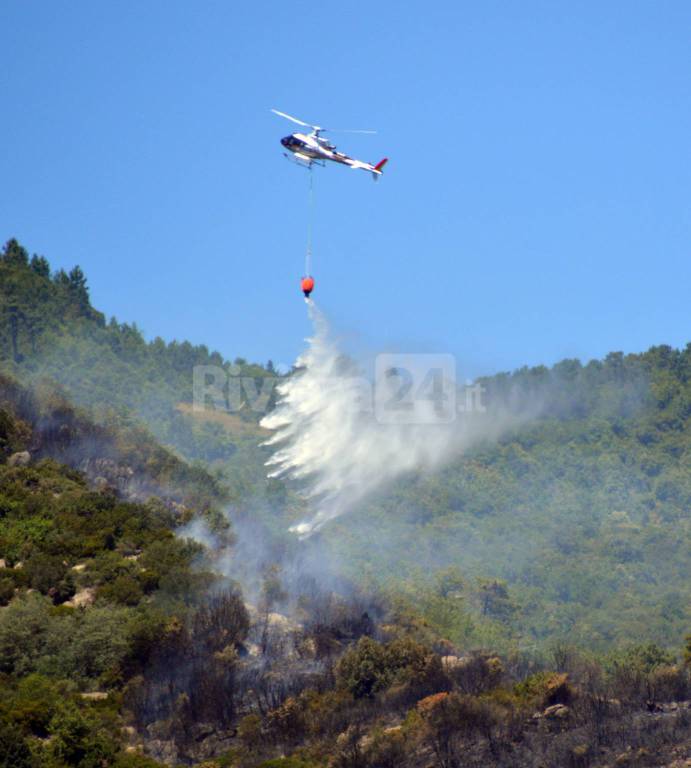 riviera24 - elicottero antincendio coldirodi