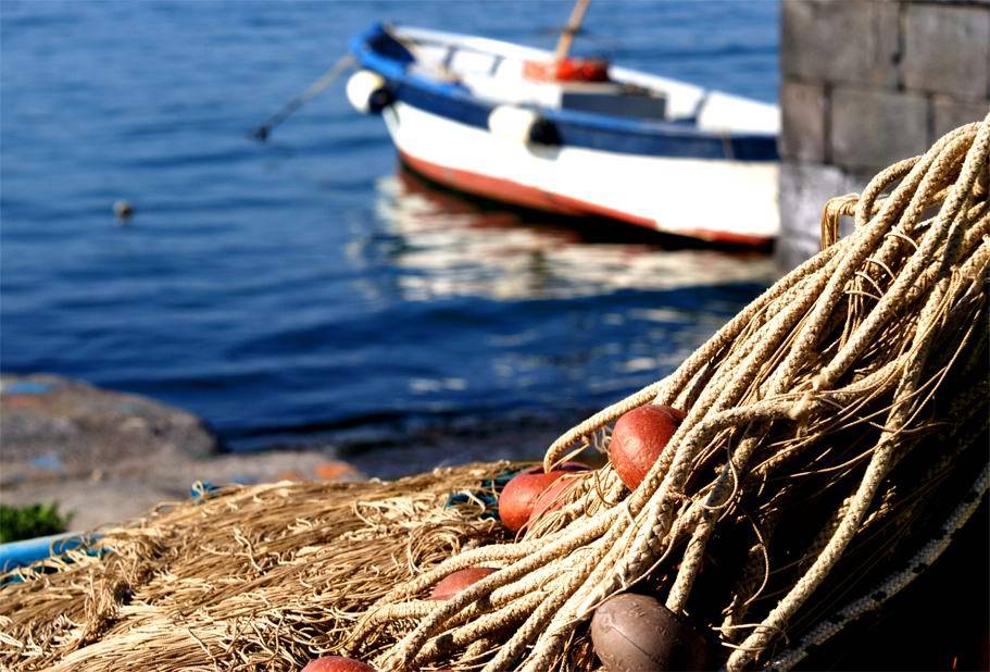 Allevamento e pesca, Mai: «Due marchi per la Liguria»