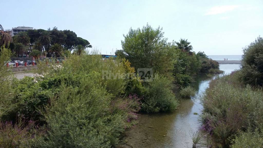 riviera24 - Ventimiglia, pulizie straordinarie in centro e sfalcio d'erba nelle frazioni
