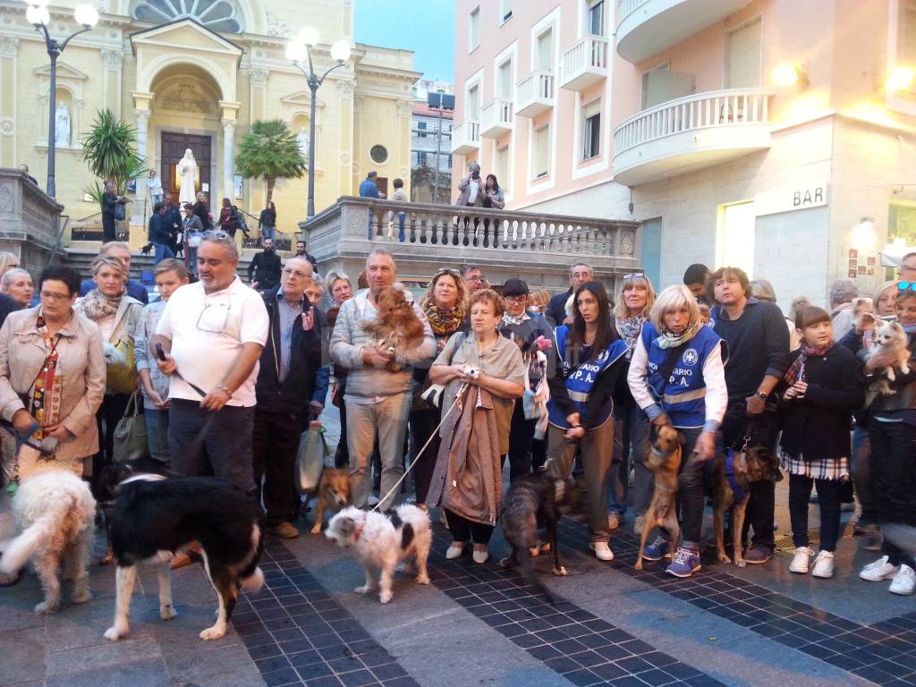 Riviera24 - Benedizione animali Chiesa Cappuccini Sanremo 2016 -
