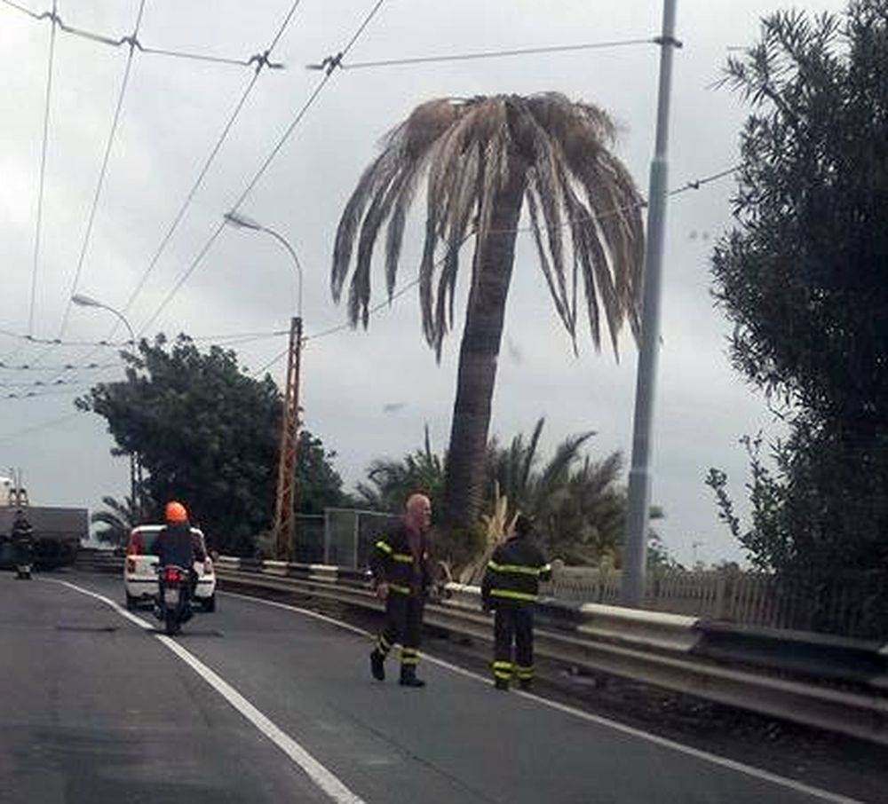 riviera24 - vigili del fuoco aurelia sanremo palma pericolante