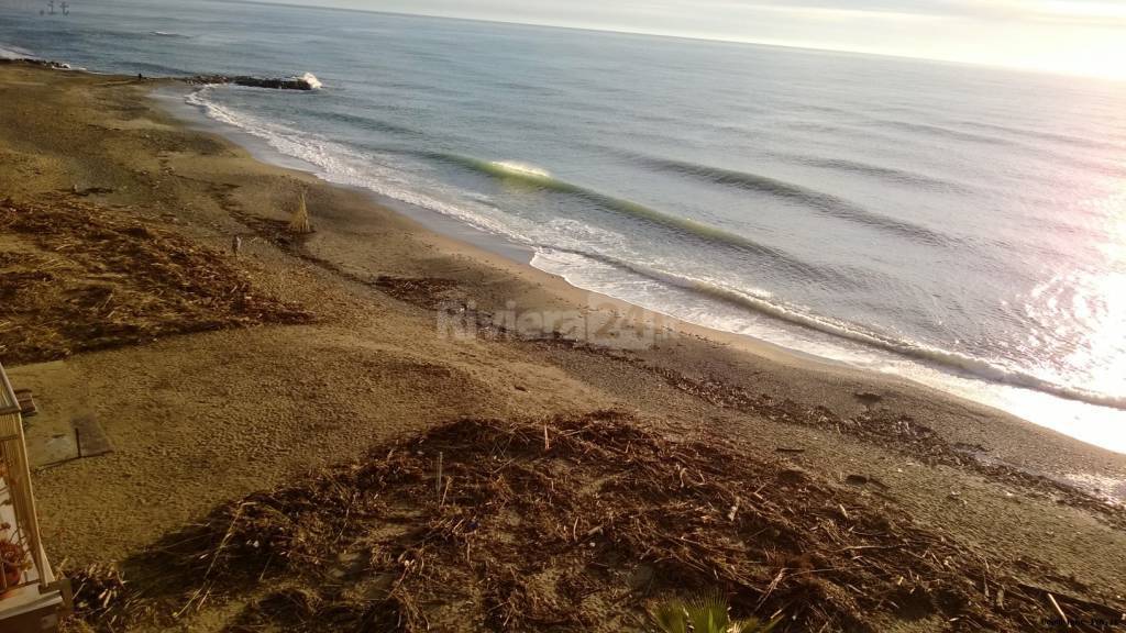 spiaggia detriti