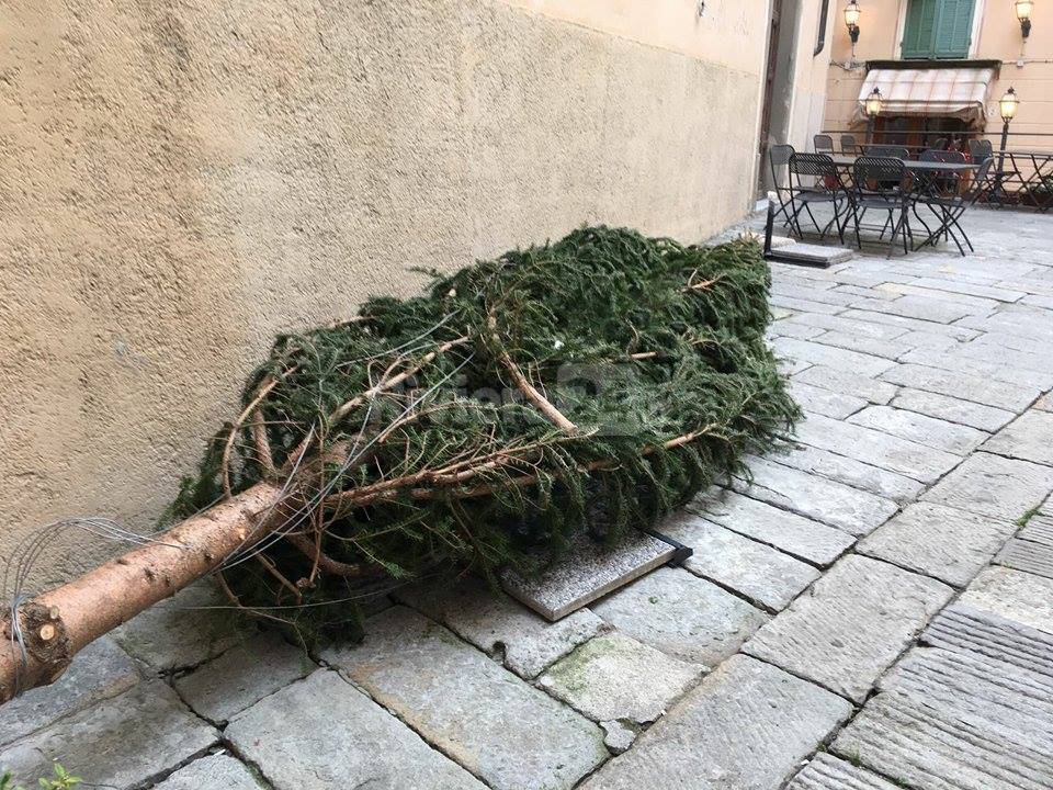 Bordighera albero di Natale