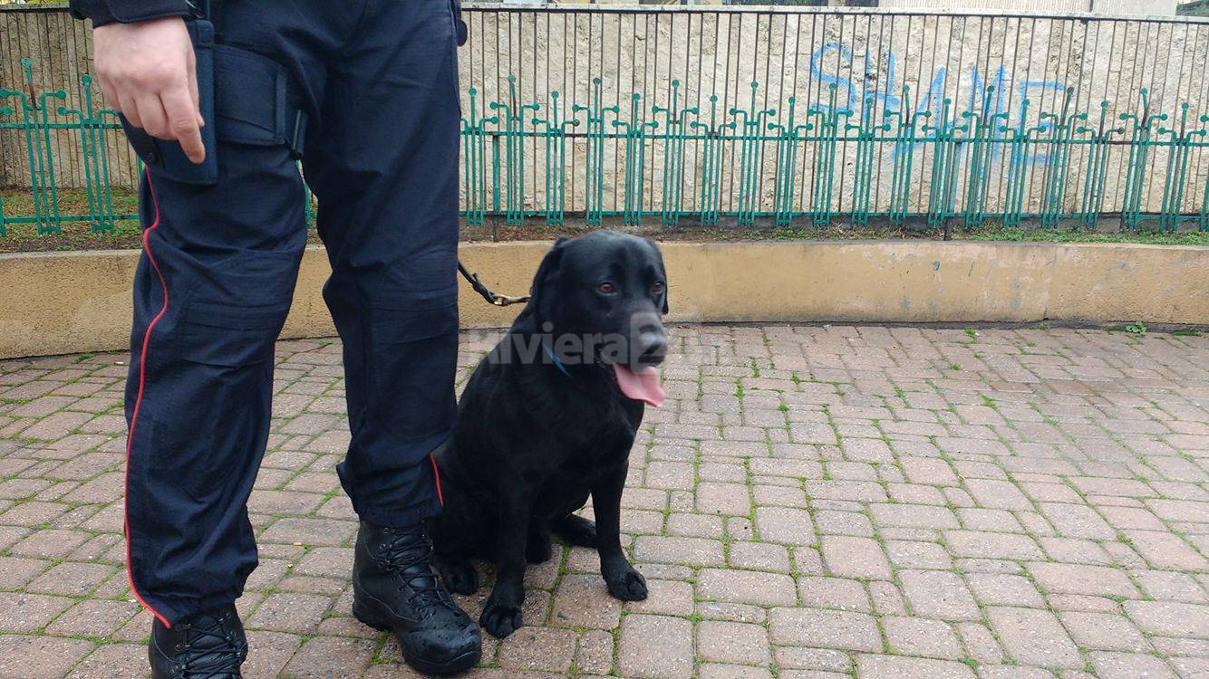 Sanremo, carabinieri cinofili