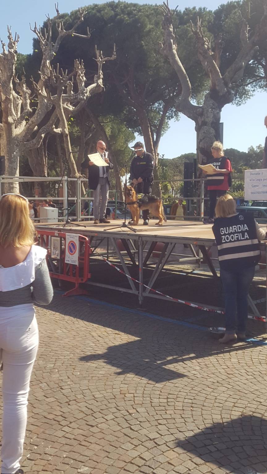 riviera24 - Ventimiglia,24esimo raduno di tutti gli animali