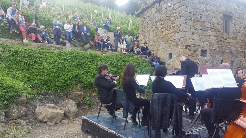 A Soldano un concerto in vigna