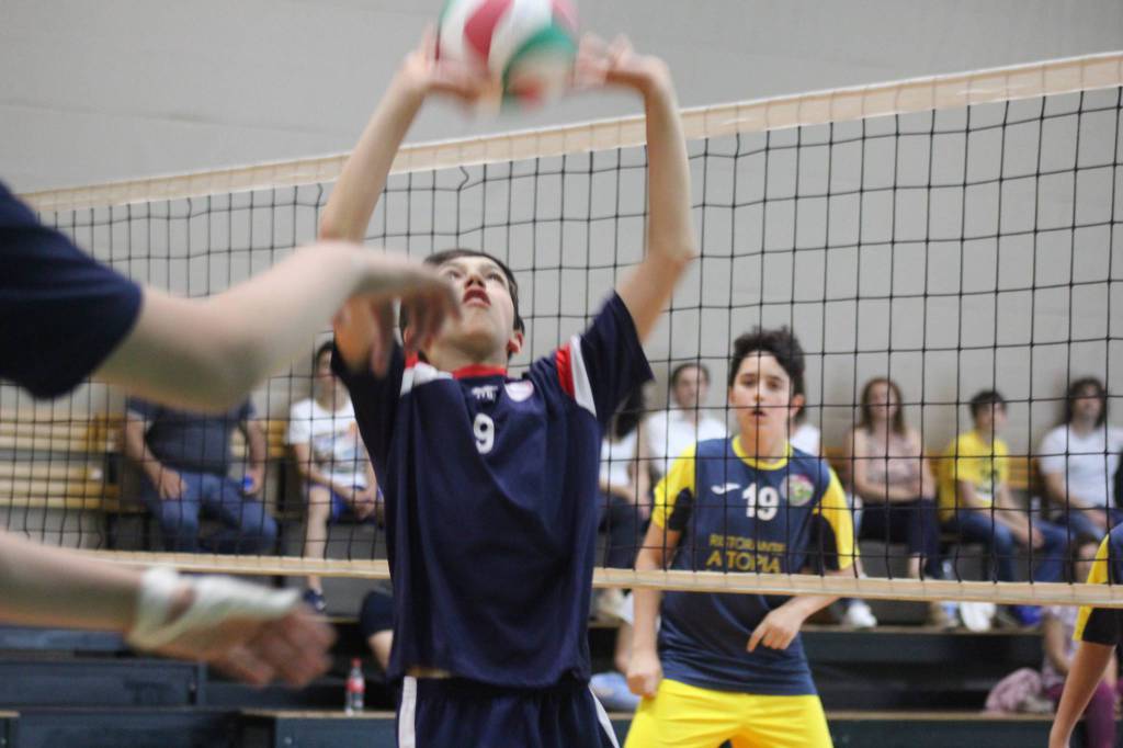 riviera24 - Volley Team Arma Taggia 