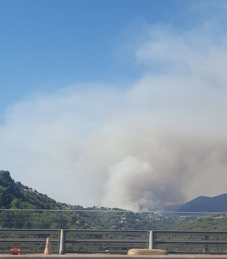 incendio nizza