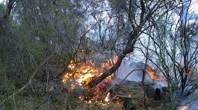 riviera24 - incendio boschivo montegrazie generica