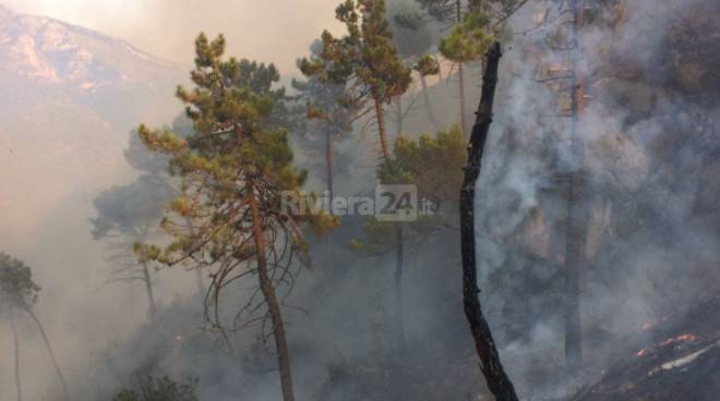 Spenti gli incendi nell’imperiese: il bilancio più grave nel comune di Olivetta San Michele che ha perso 80 ettari di bosco