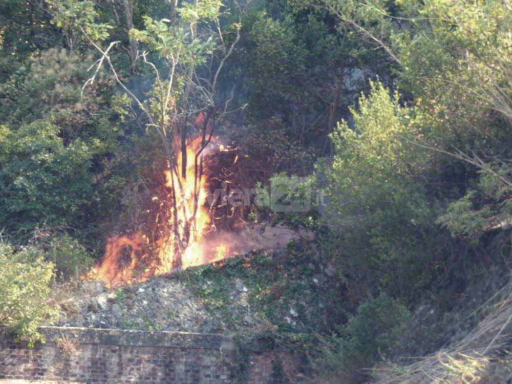 incendio olivetta san michele