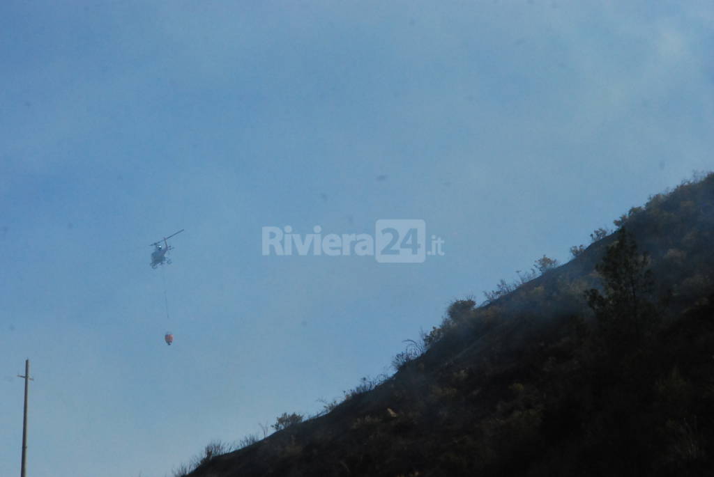 Ventimiglia incendio boschivo tra Roverino e Porra