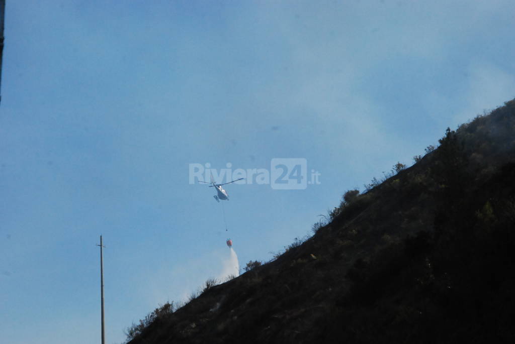 Ventimiglia incendio boschivo tra Roverino e Porra