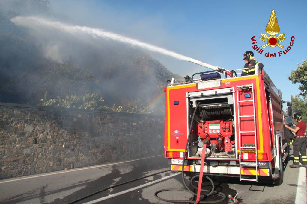 riviera24 - Incendio boschivo a San Lorenzo al Mare