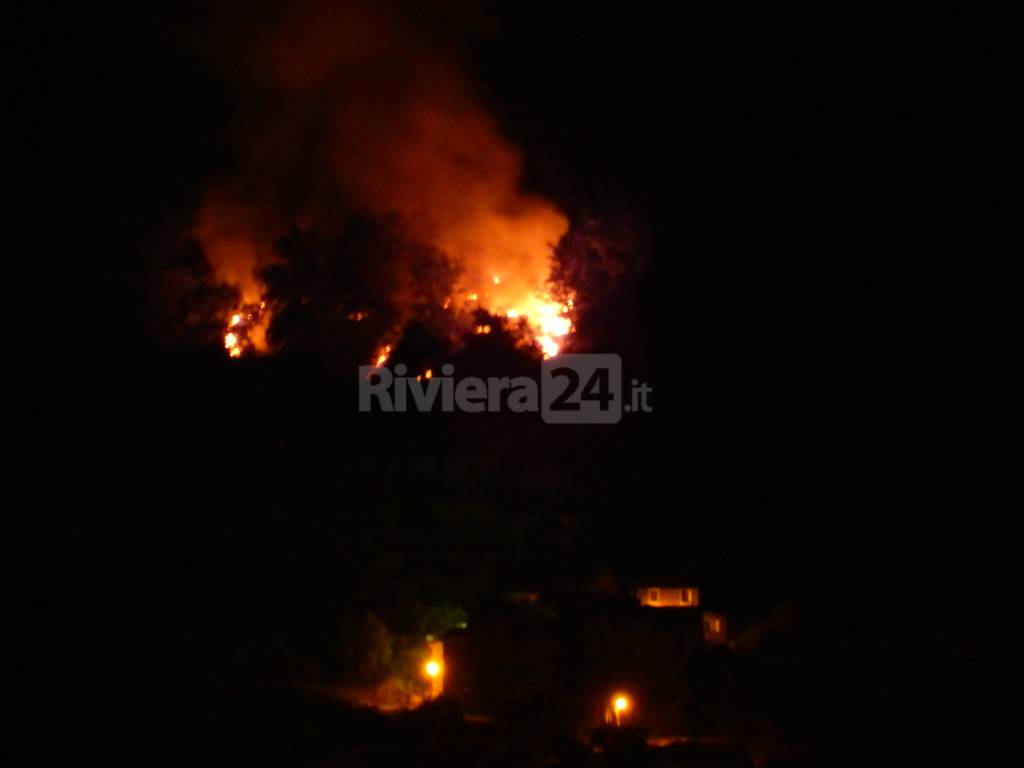 incendio boschivo negi