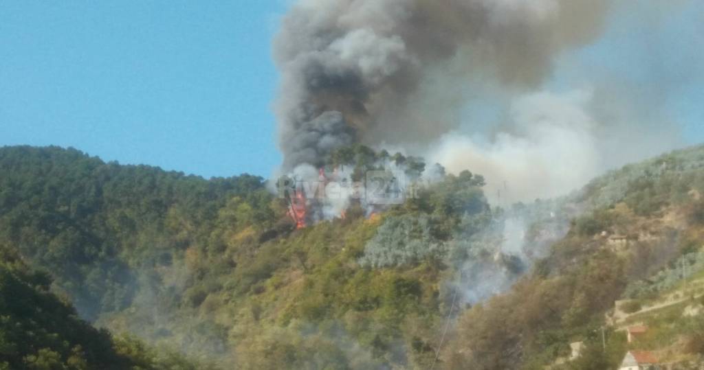 riviera24 - incendio boschivo ceriana